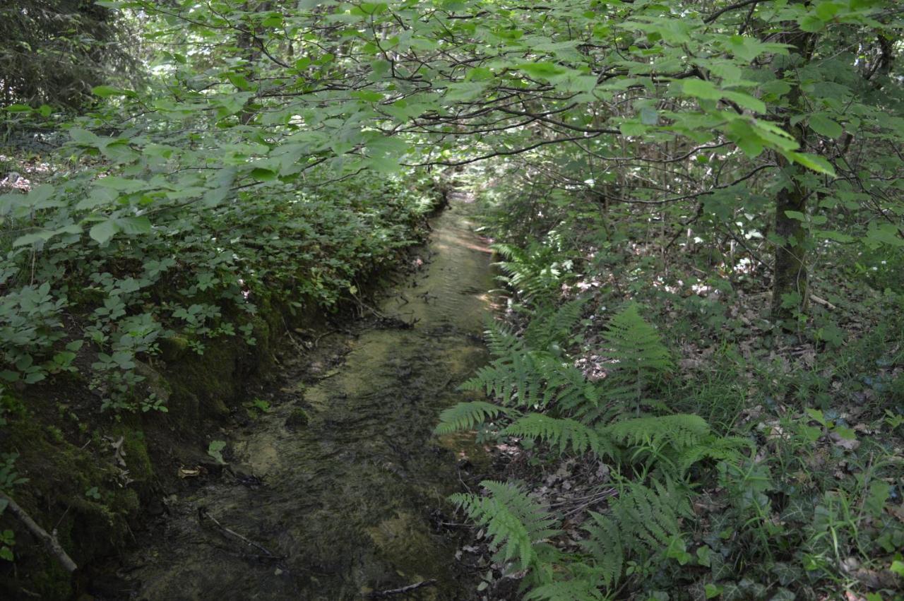 Le Moulin De Chatillon Saint-Leger Εξωτερικό φωτογραφία