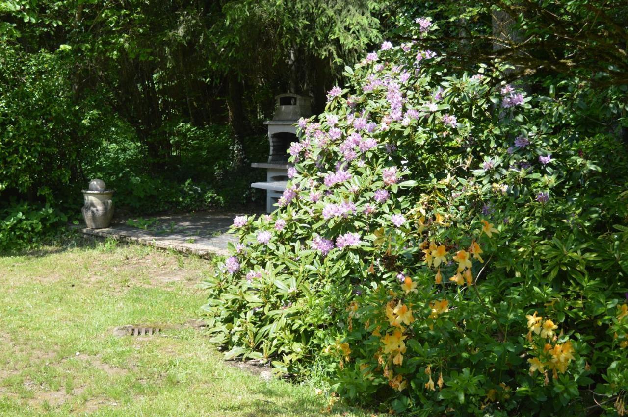 Le Moulin De Chatillon Saint-Leger Εξωτερικό φωτογραφία